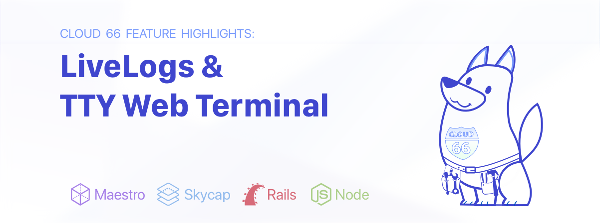 feature-highlights-livelogs-tty-web-terminal-find-and-squash-bugs-in-apps
